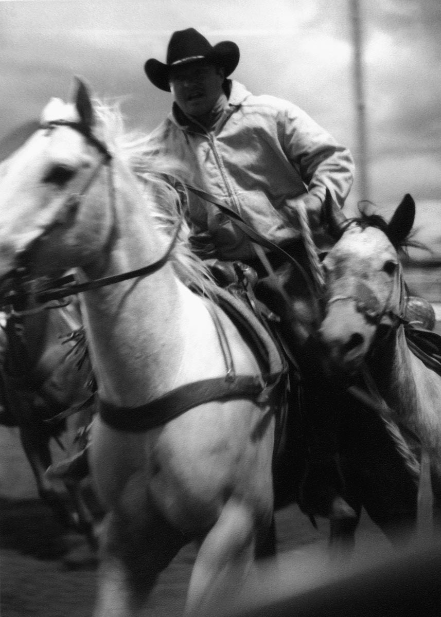 Cowboy_Horses1_APF.jpg