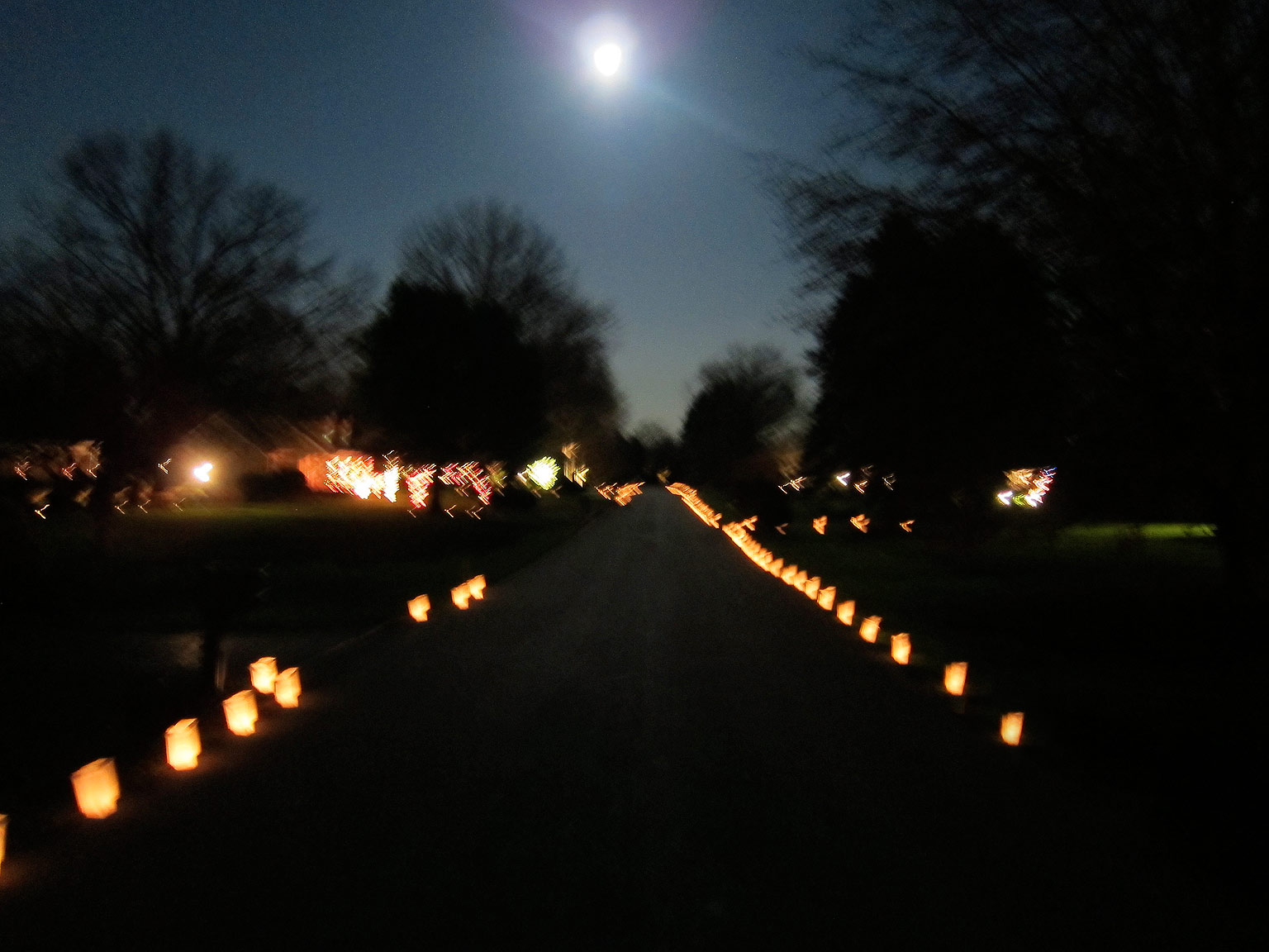 Luminarias_APF.jpg