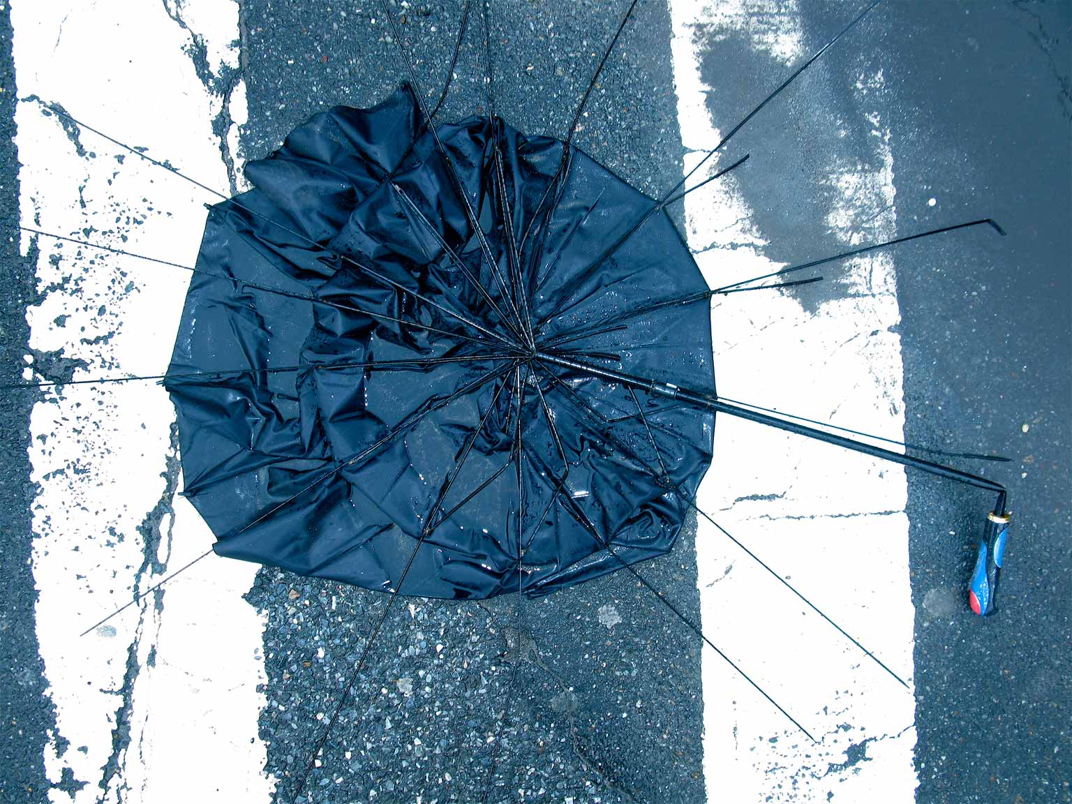 Umbrella_APF.jpg